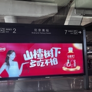 山楂树下